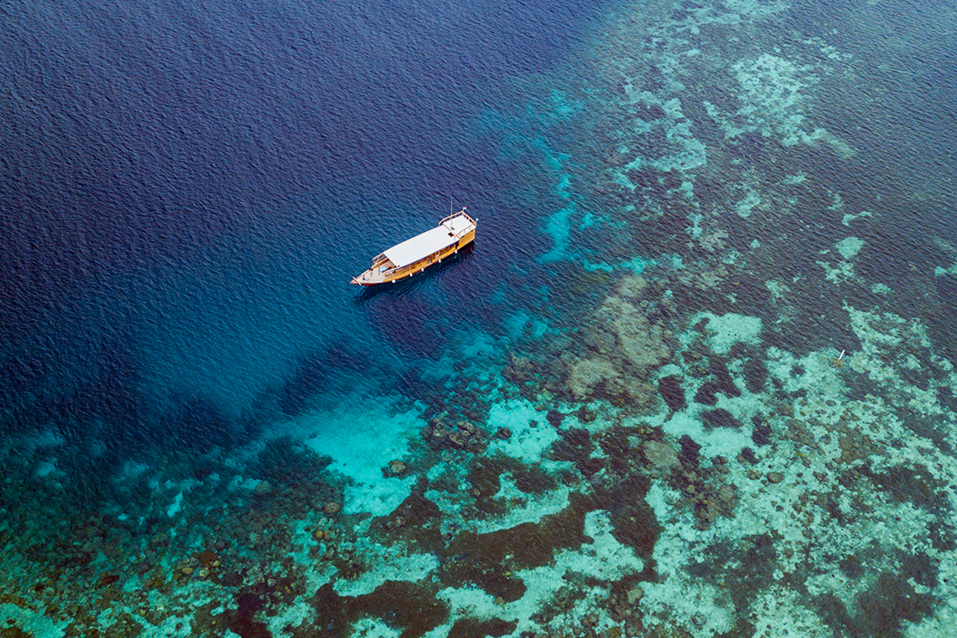 Experience Wakatobi Courtyard Residence Private Boat